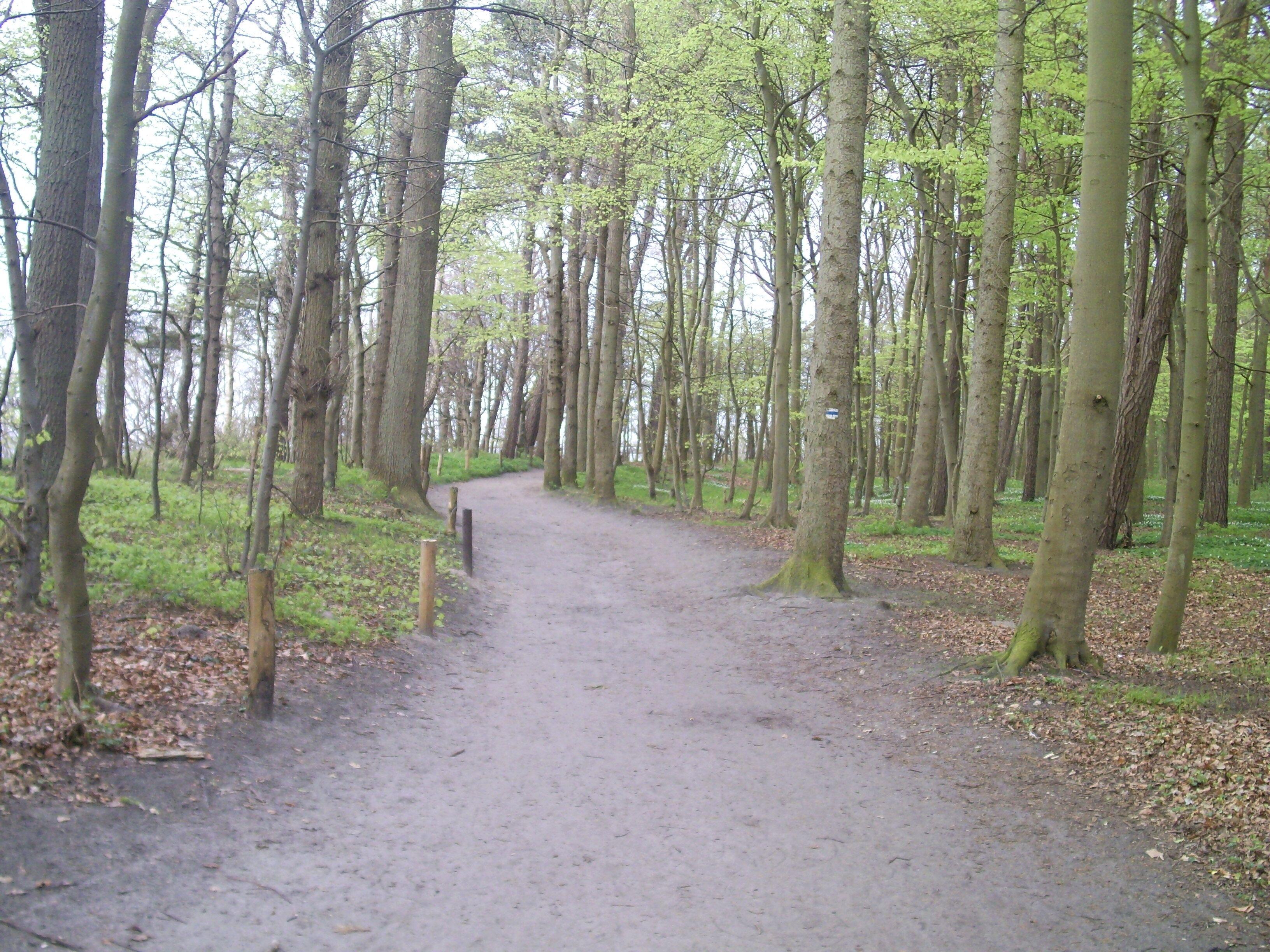 Ostseetraum&apartments 3* Rostock